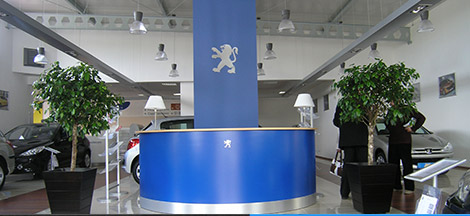Retailers of different sectors